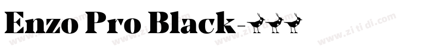 Enzo Pro Black字体转换